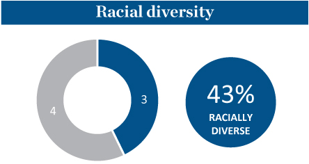 [MISSING IMAGE: tm223569d1-pc_racialpn.jpg]